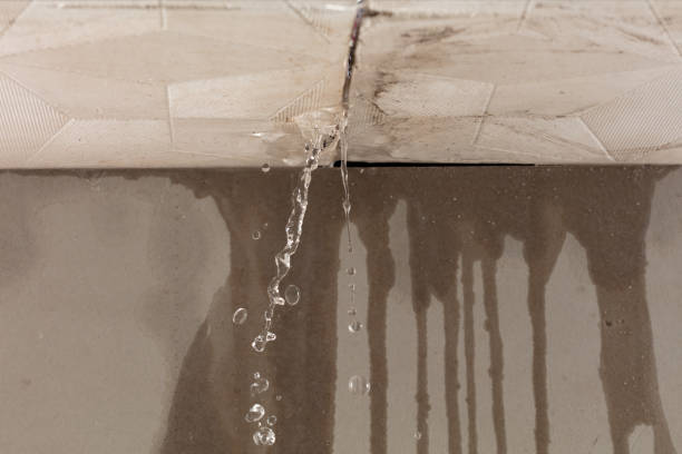 Professional Water Damage Inspection technician working in Bethpage, TN